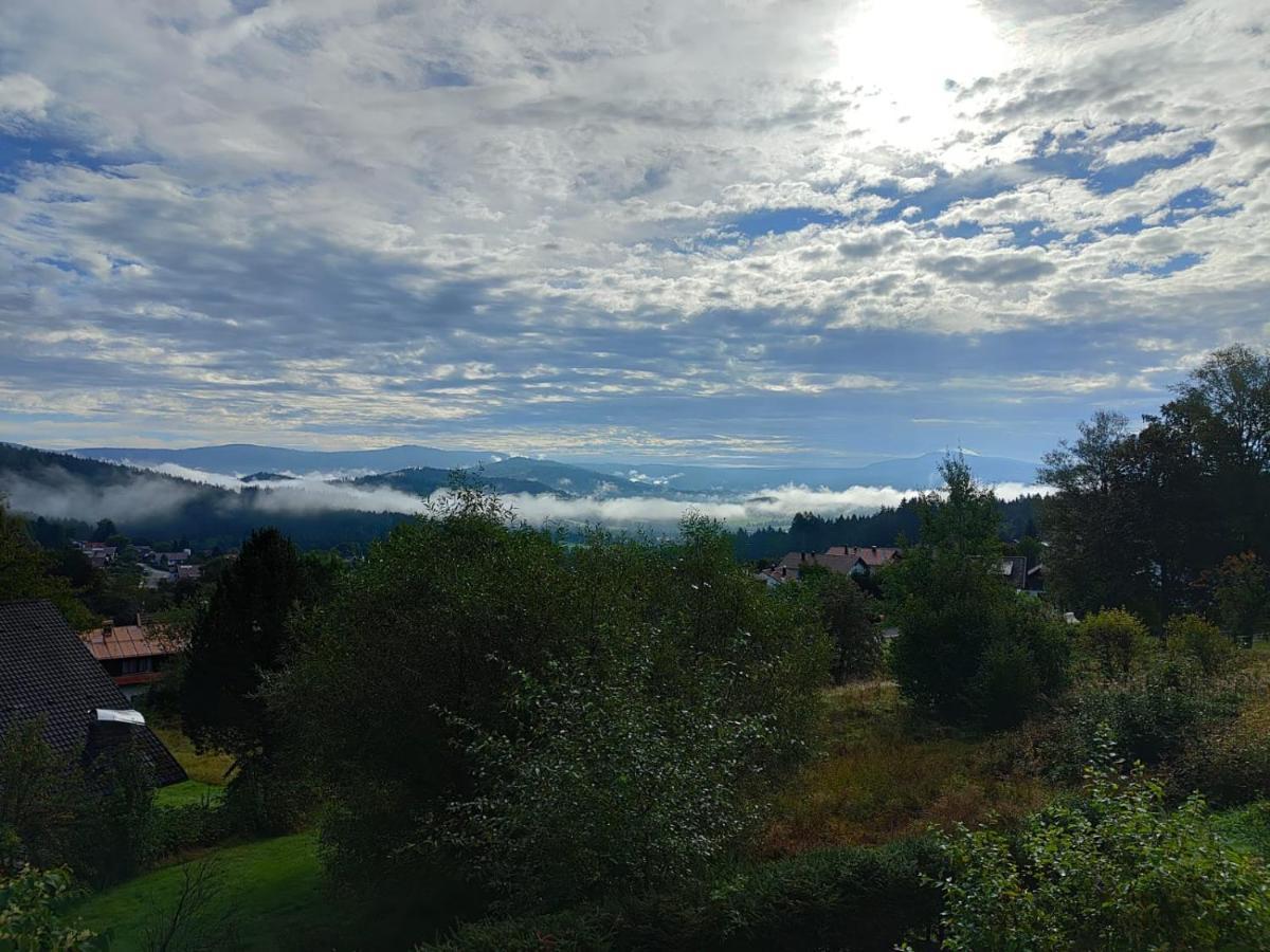 Am Kaisersteig Appartamento Zwiesel